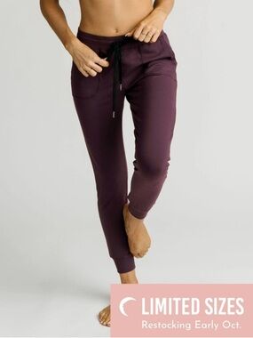 Zyia Active Plum Purple Unwind Joggers Size Small